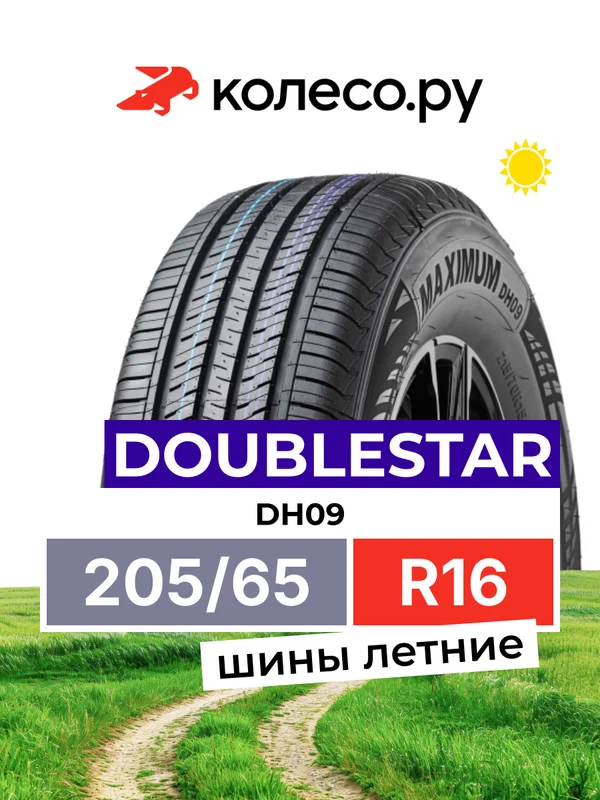 Шины летние ДаблСтар DH09 205/65 R16 95H нешипованная летняя резина