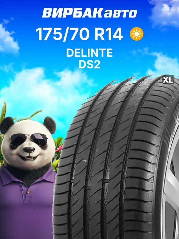 Летние шины DELINTE DS2 175/70 R14 88T XL, летняя автомобильная резина