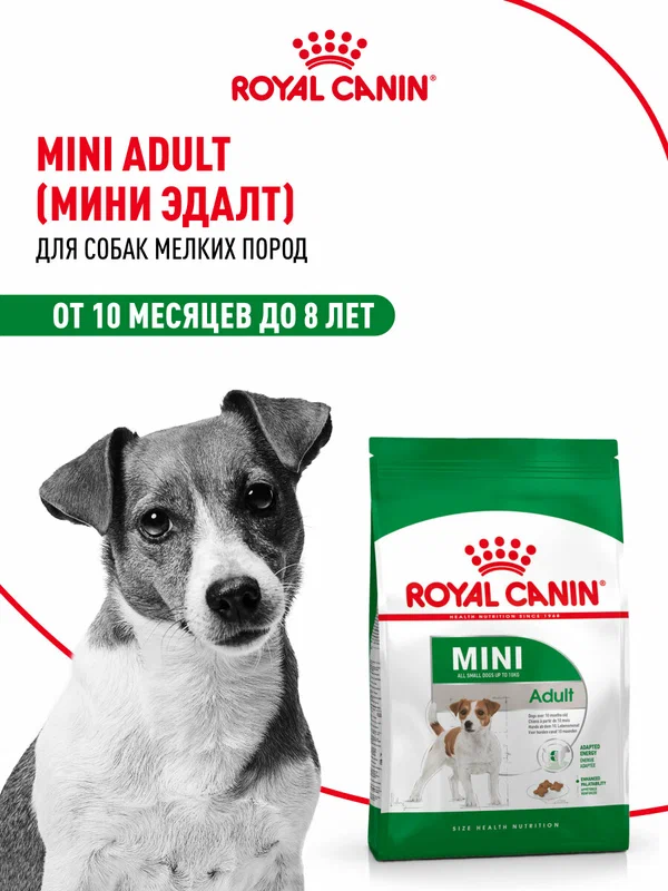 Сухой корм royal canin для пожилых собак мелких пород старше 8 лет mini adult 8+ 4кг