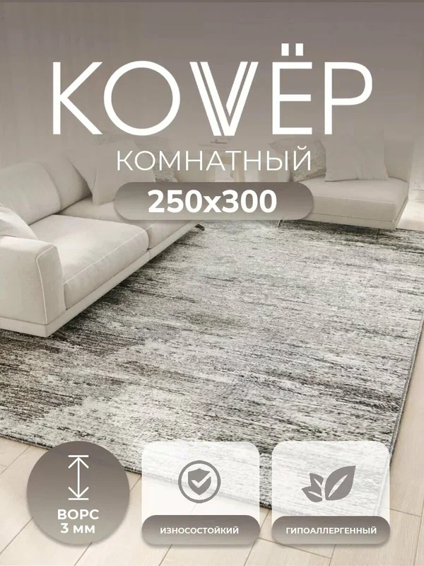 Ковер комнатный ворсовый 250х300 для дома