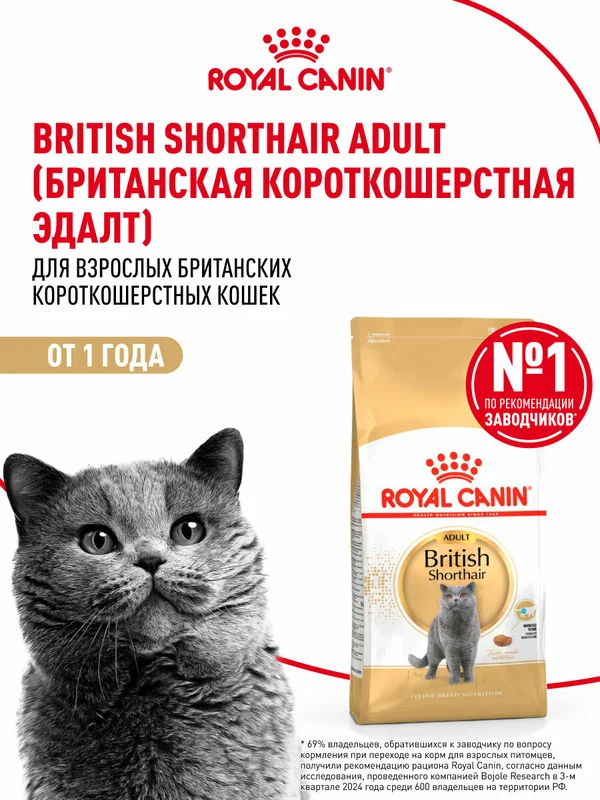 Сухой корм для кошек Royal Canin Adult для британской породы, 4 кг