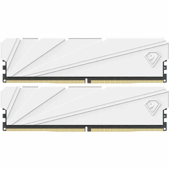 Оперативная память Netac DDR4 16Gb (2x8Gb) 3200MHz PC-25600 Shadow S CL16 1.35V (NTSSD4P32DP-16W)