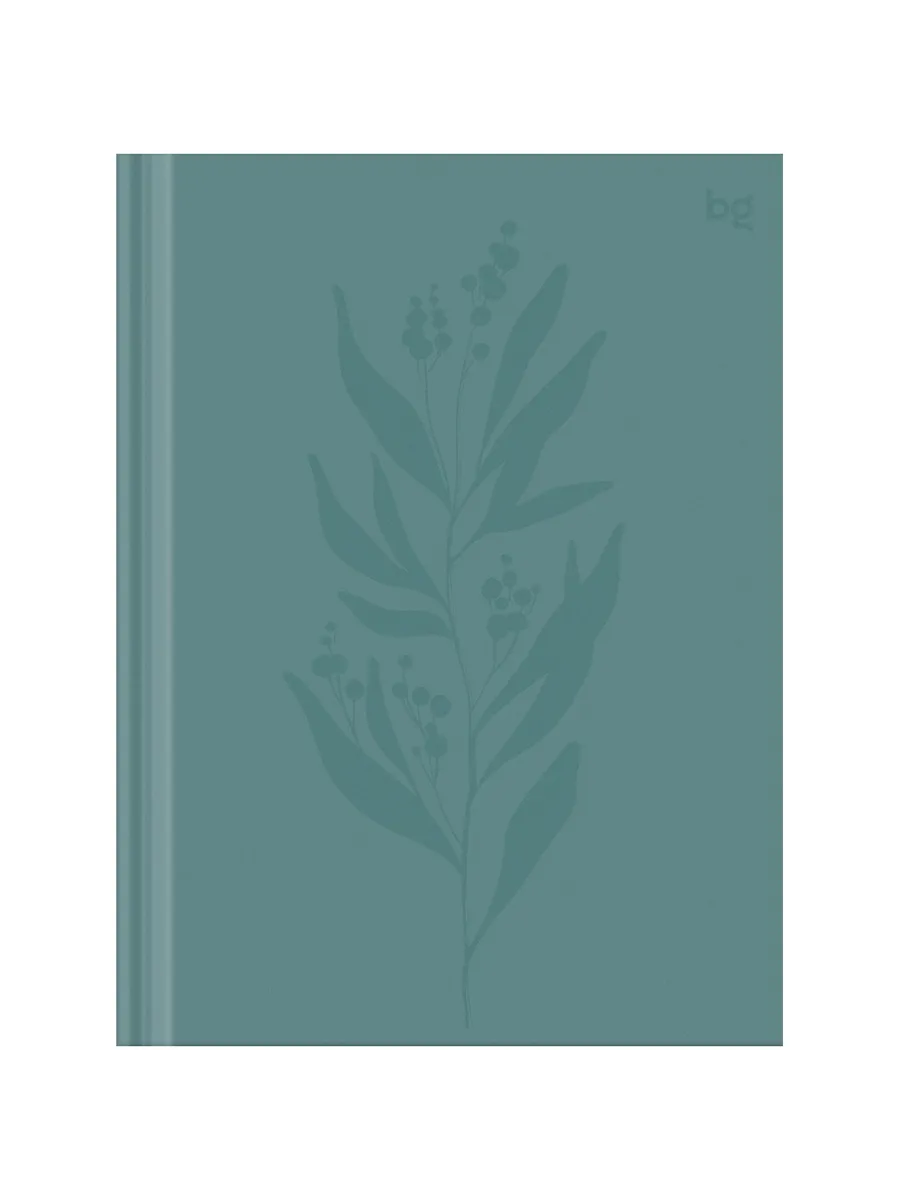 Бизнес-блокнот А6, 80л, BG "Минимализм", soft-touch ламина