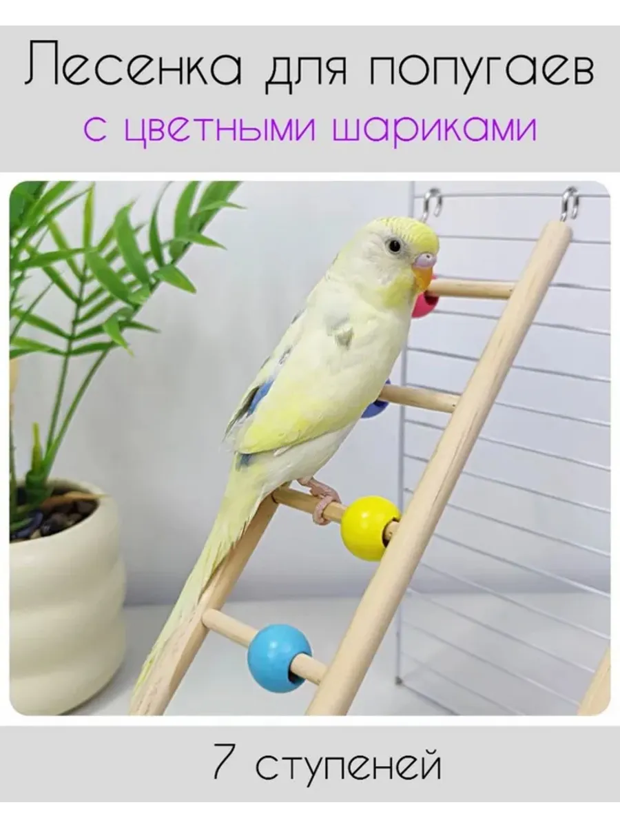 Лесенка с бусинами с шариками для попугаев и птиц