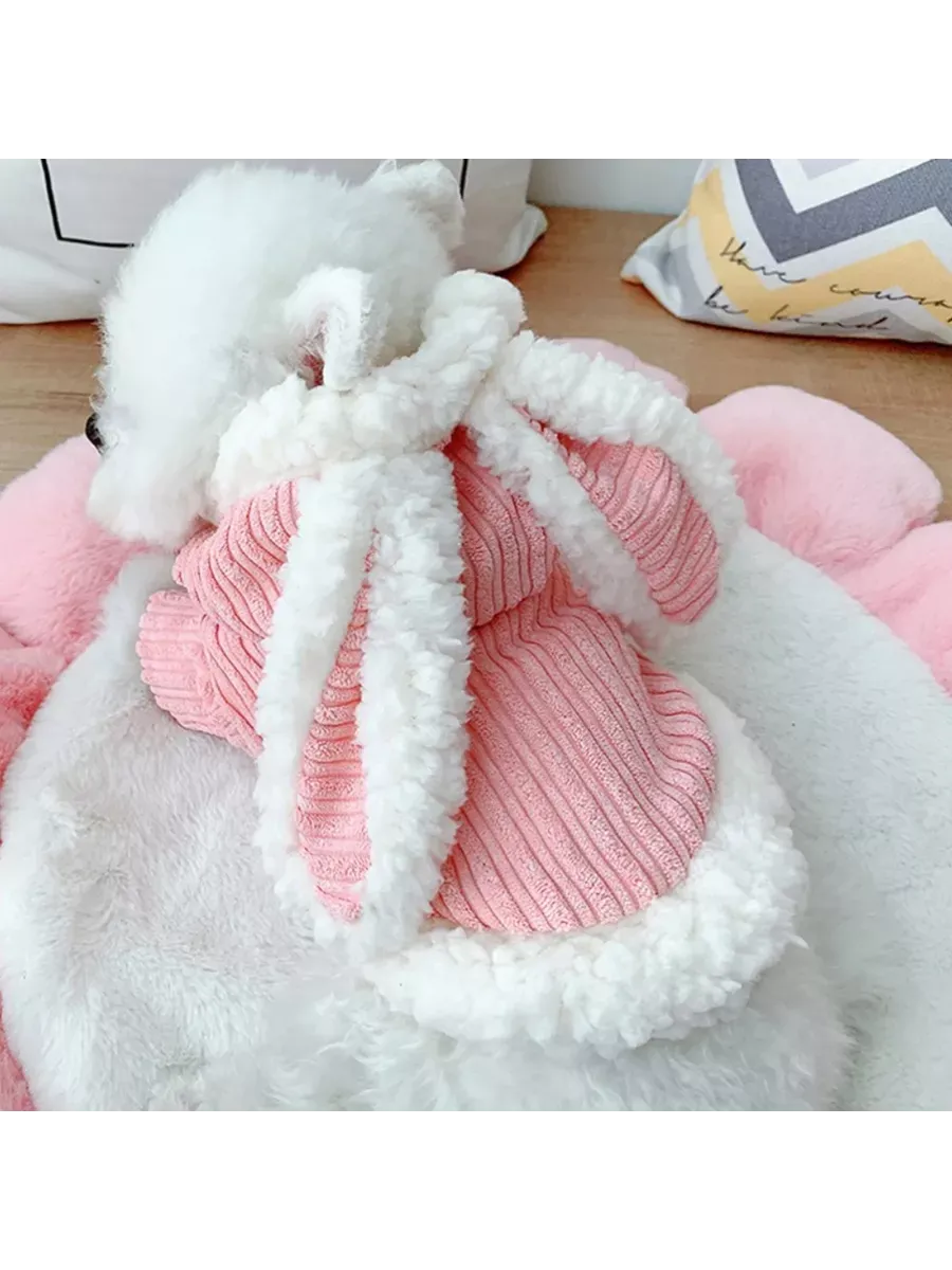 Куртка для животных