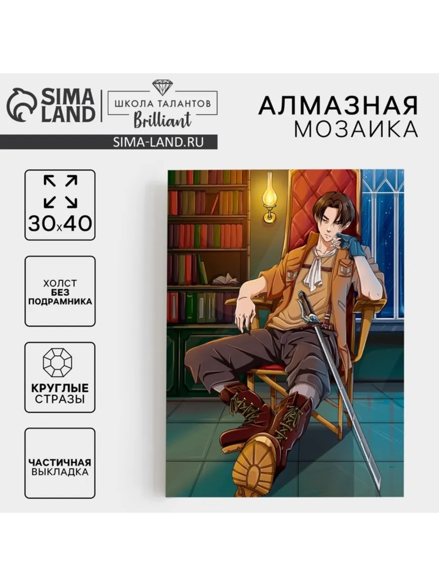 Домный / Алмазная мозаика "Незнакомец" 30x40 см на холсте