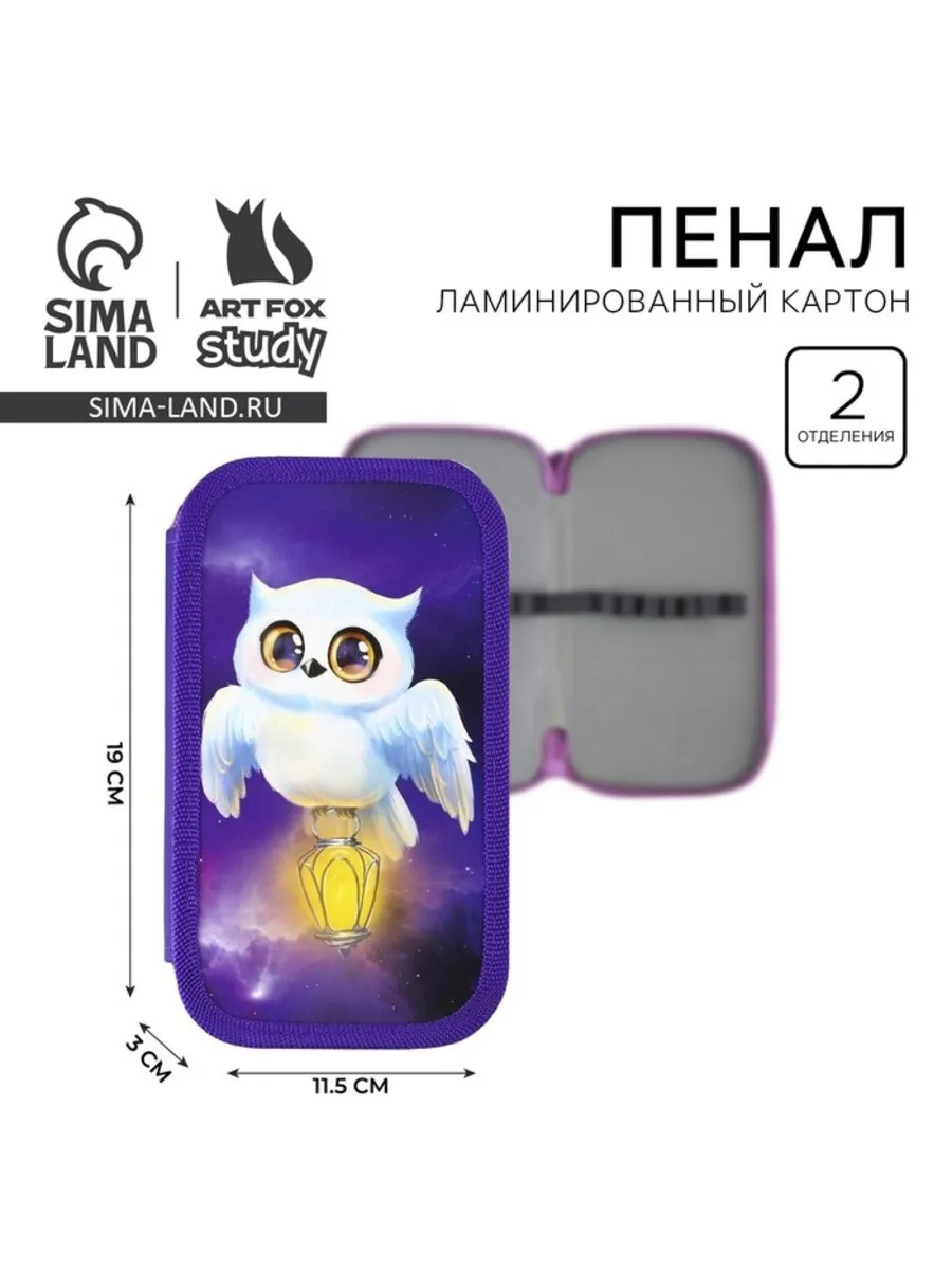 Домный / Пенал школьный двухсекционный 19х10.5 см Совушка