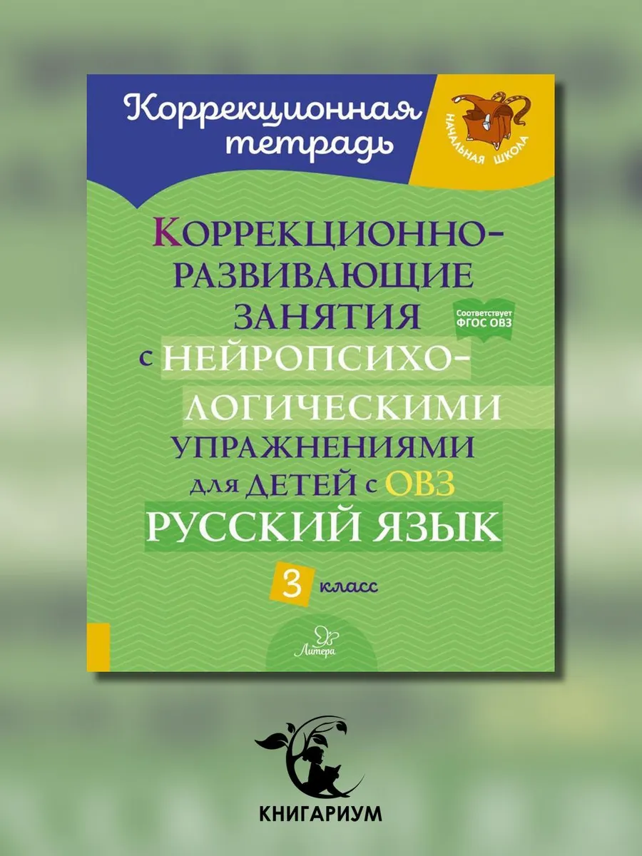 ИД ЛИТЕРА / Коррекционно-развивающие занятия с нейропсихологическими