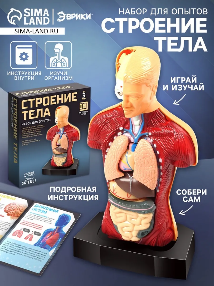 Домный / Научный набор для опытов "Строение тела"