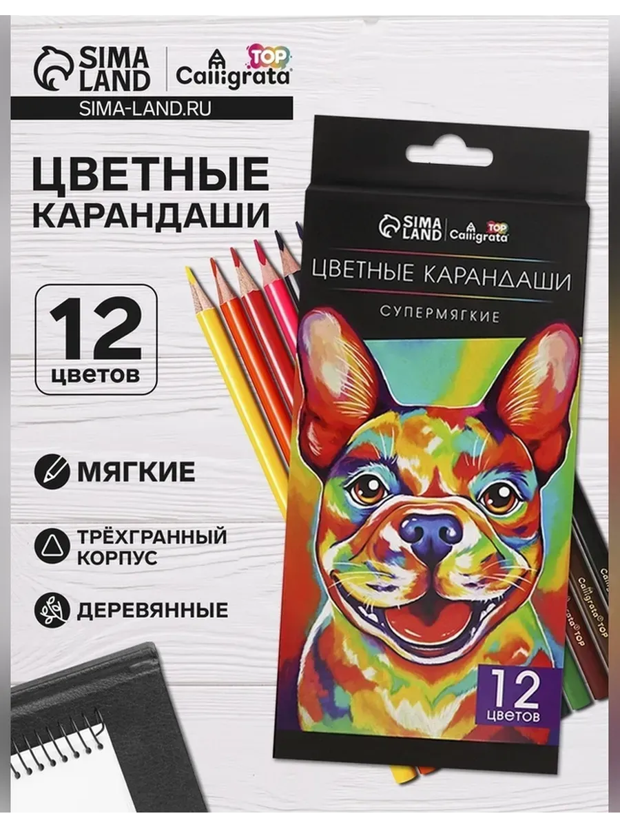 Calligrata / Яркие цветные карандаши для творчества