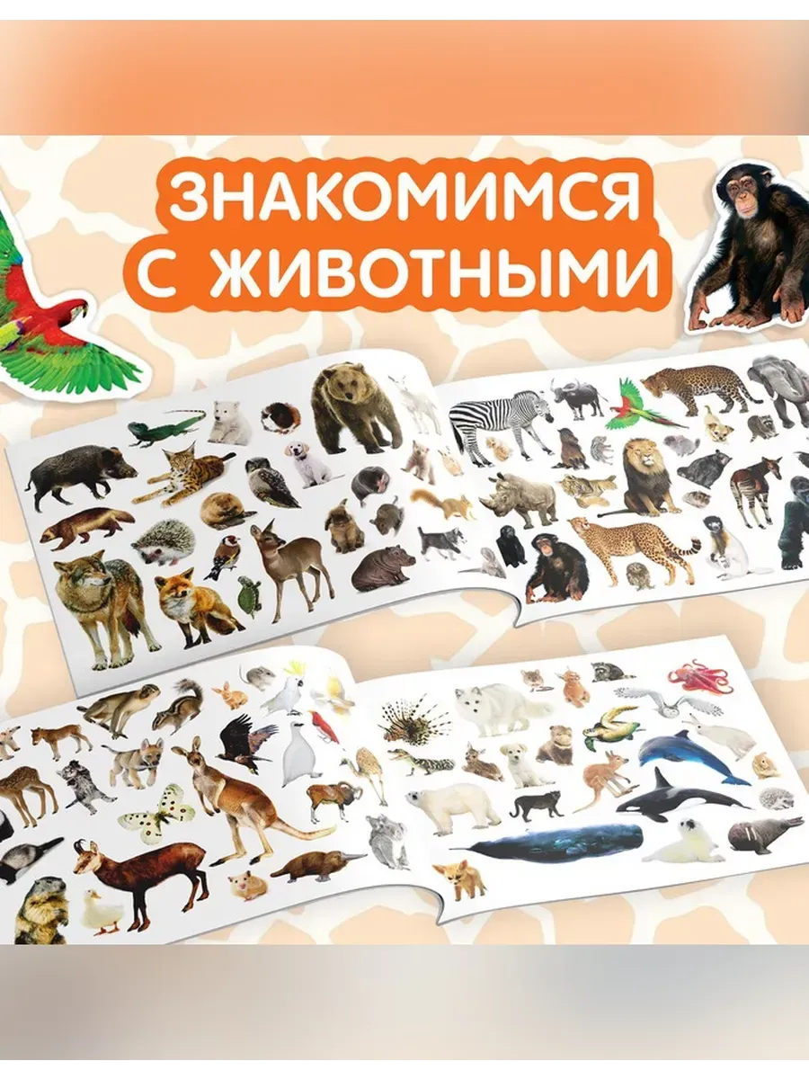 Буква-Ленд / Интерактивные наклейки «Животные мира»
