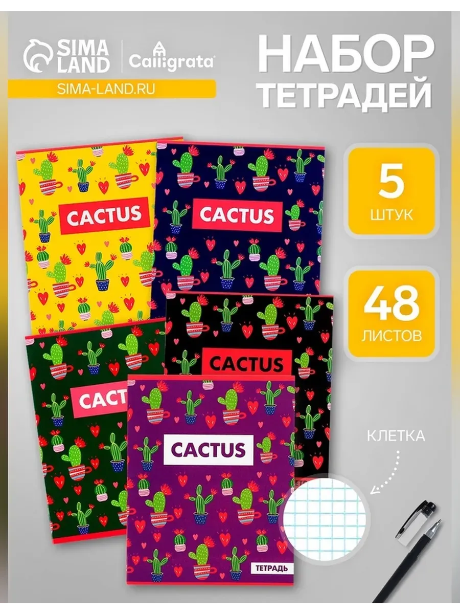 Яркий комплект тетрадей для учебы и творчества