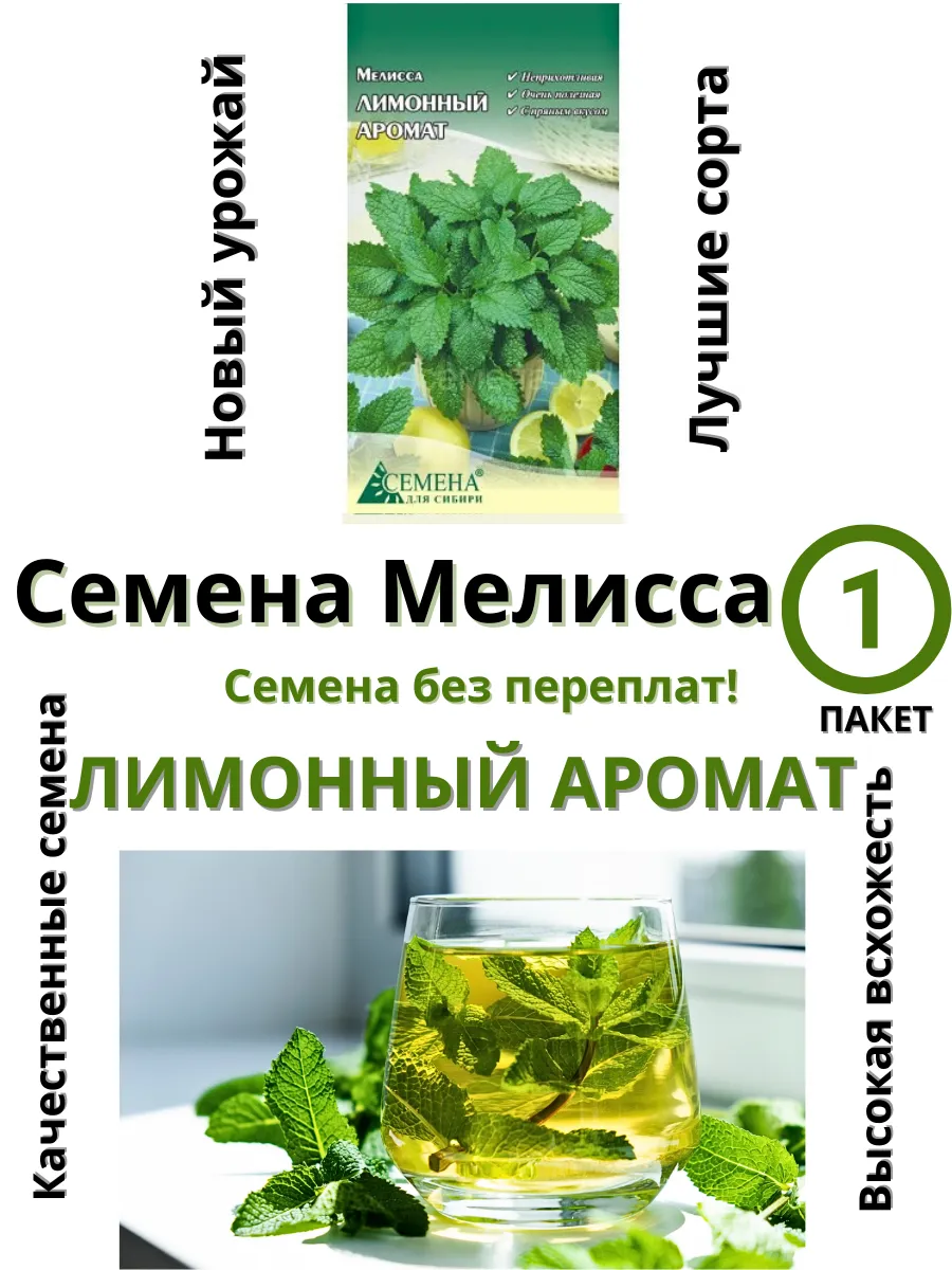 Семена для сибири / Семена Мелисса Лимонный аромат