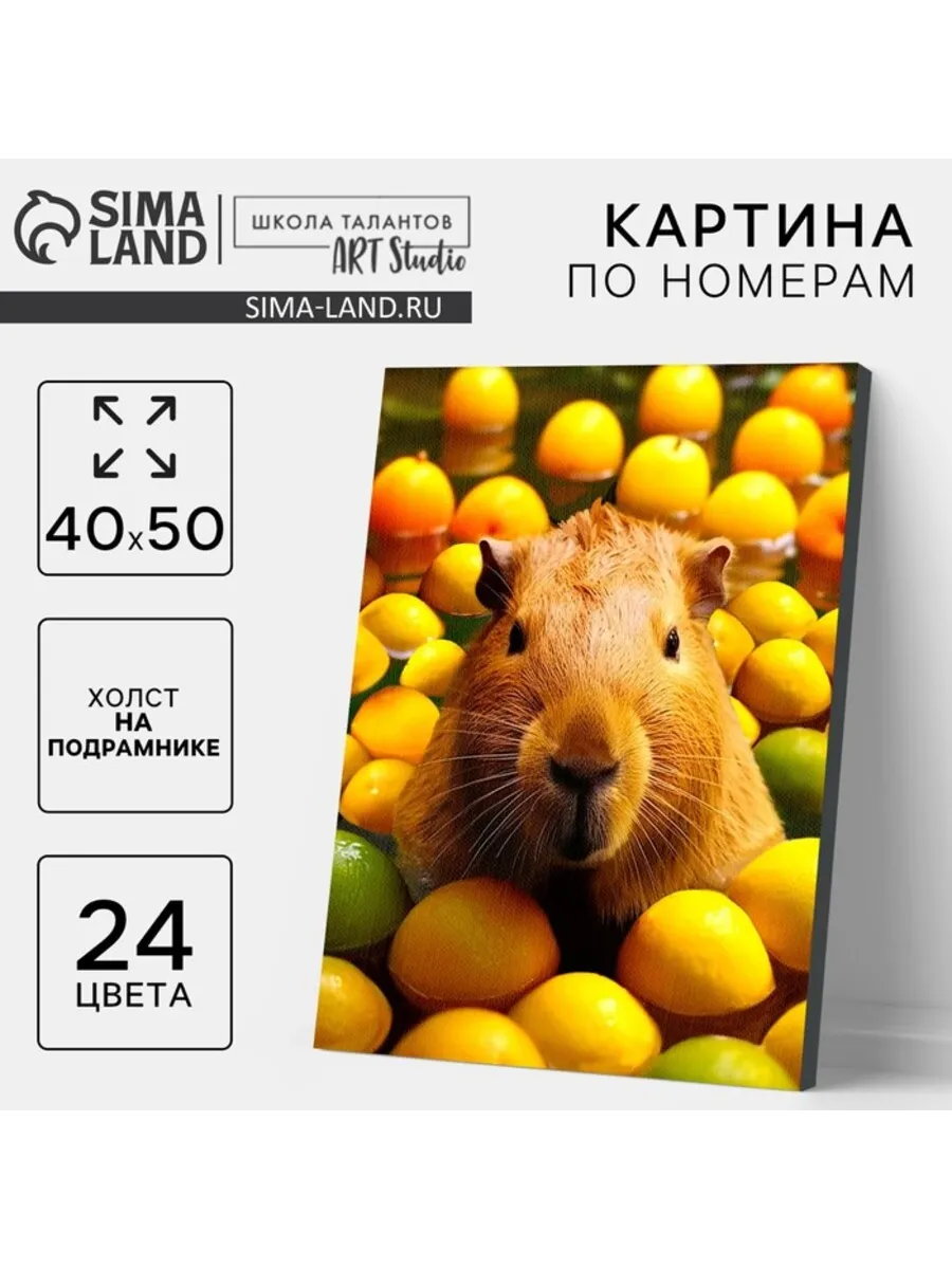 Домный / Картина по номерам Капибара в пруду 40x50 см