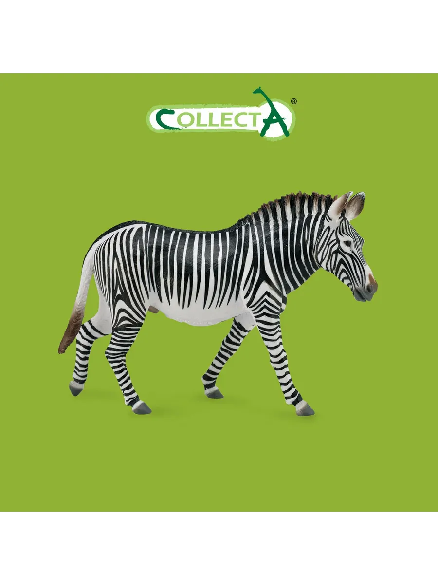 Collecta / Фигурка Зебра Греви XL