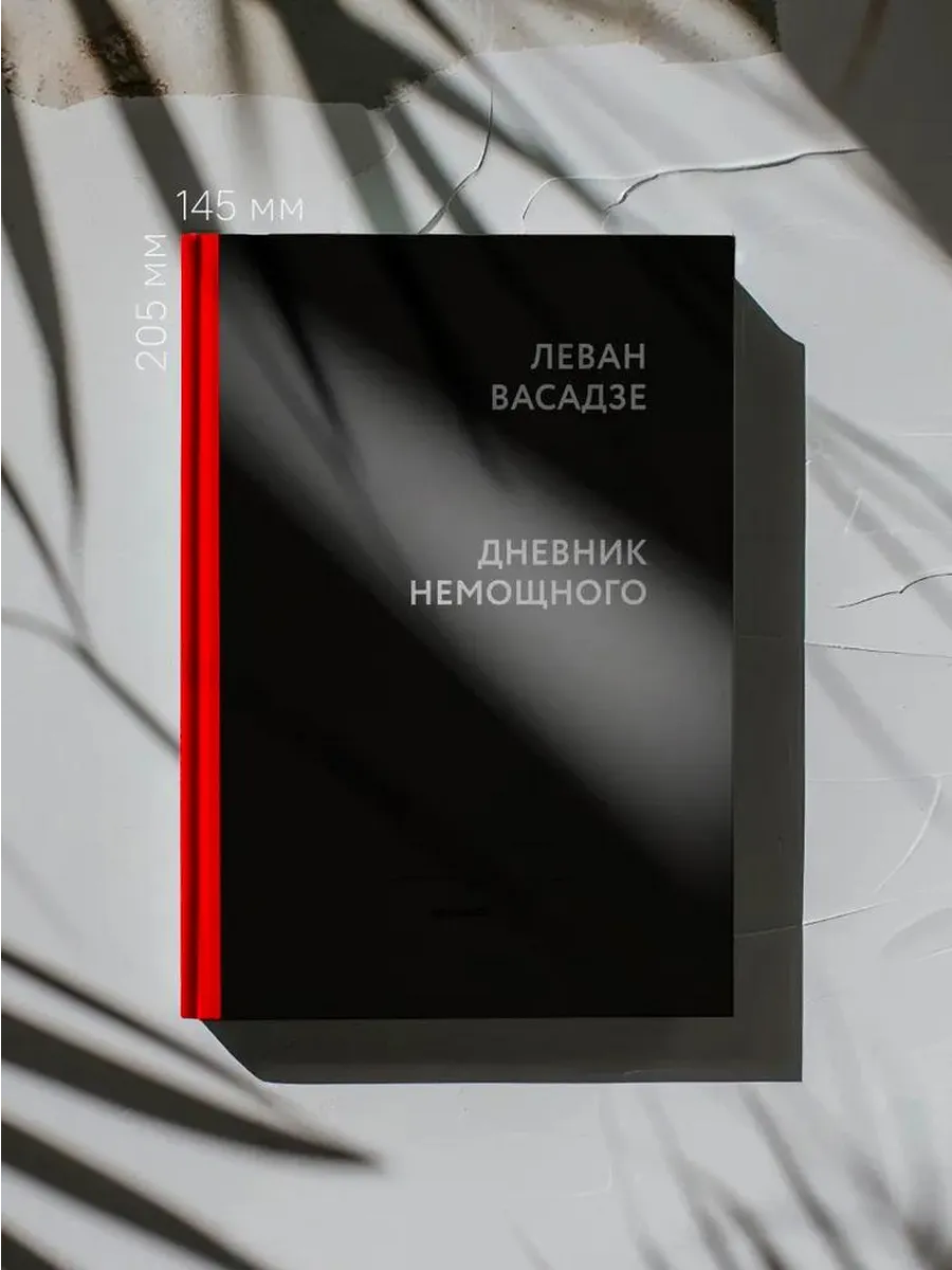 Никея / Книга Дневник немощного. Васадзе Л. Ш, 2025