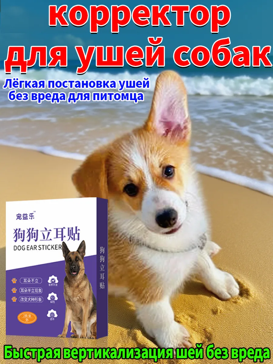 Пластырь для поддержки ушей собаки，2 комплекта коробка