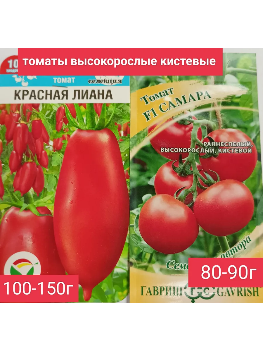Томаты Самара F1 и Красная лиана