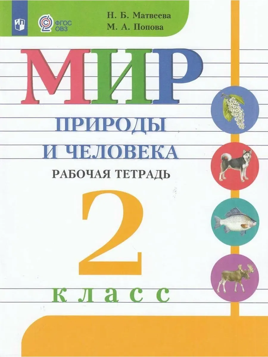 Просвещение / Рабочая Тетрадь 2 класс (ОВЗ) Матвеева Н. Б, Попова М. А. М