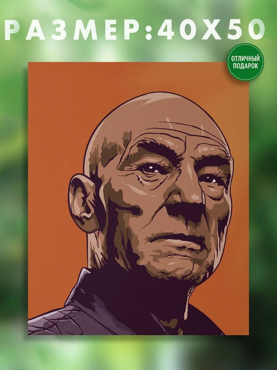 АртКод / Картина на холсте 40 x 50 star trek