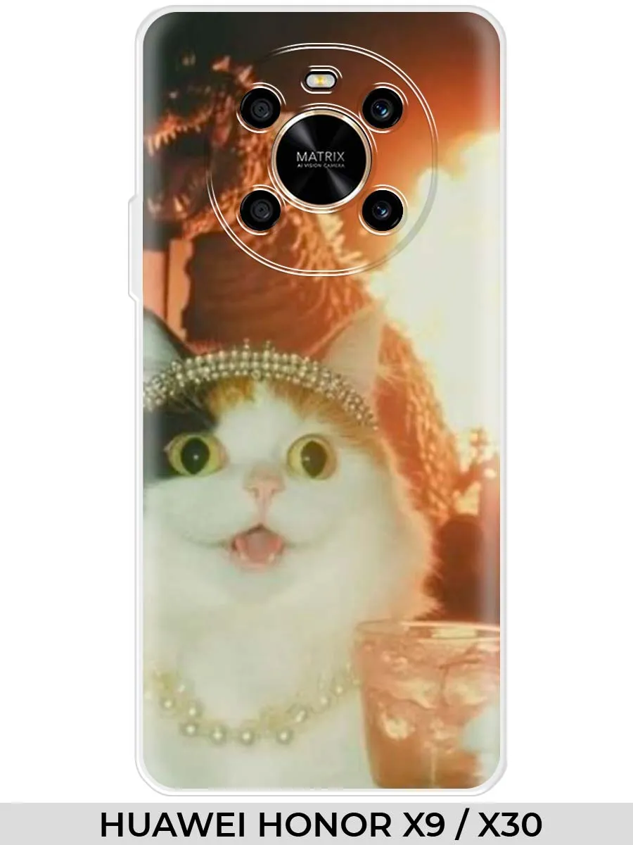 Huawei / Чехол на HONOR X9 X30 Прикол