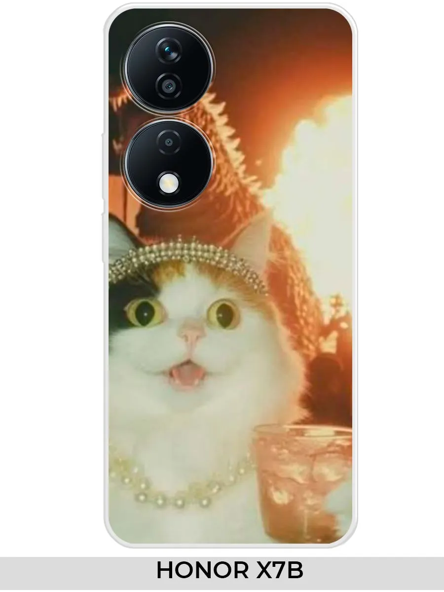 Huawei / Чехол на Honor X7B Прикол