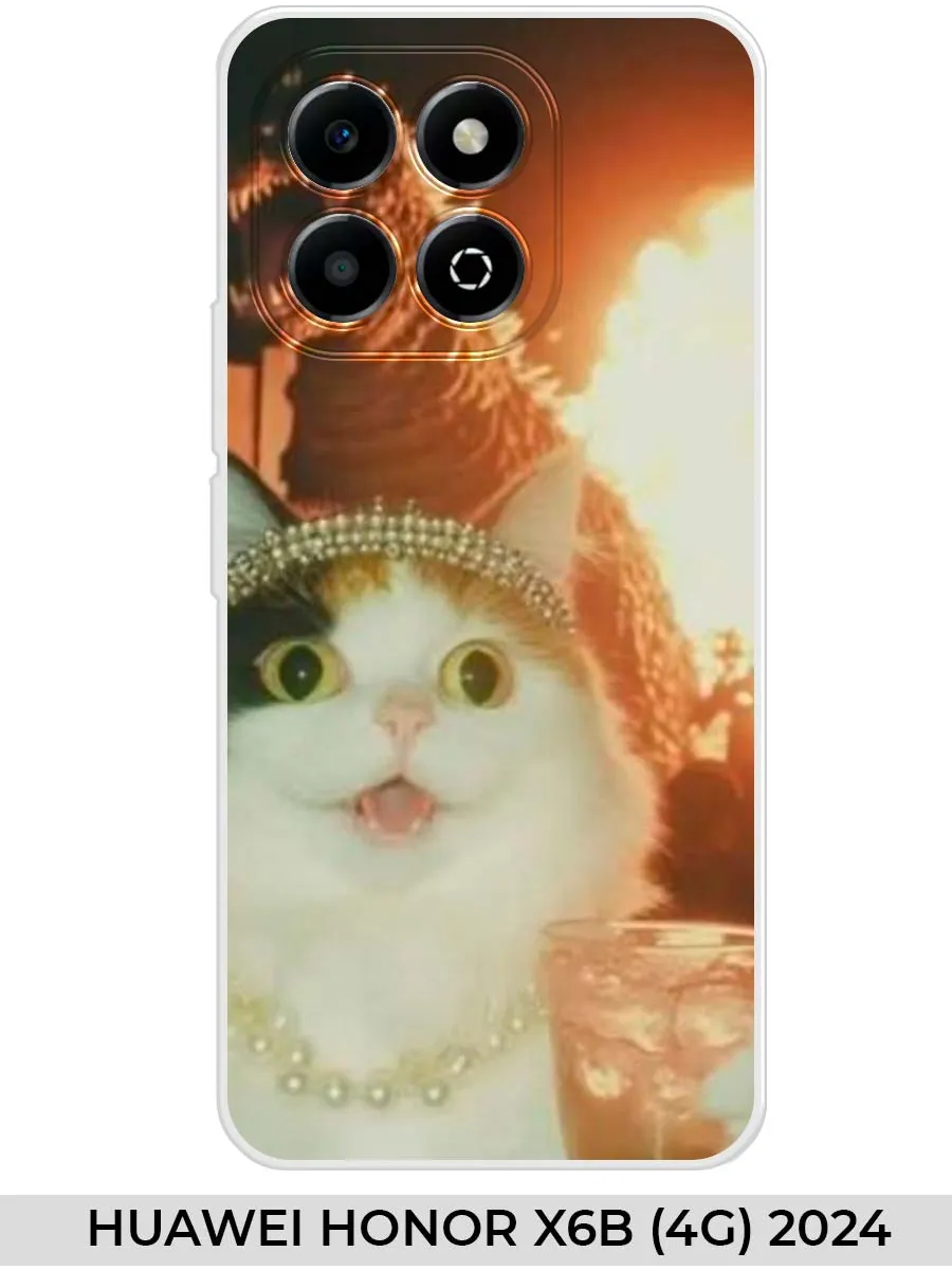 Huawei / Чехол на Honor X6B (4G) 2024 Прикол