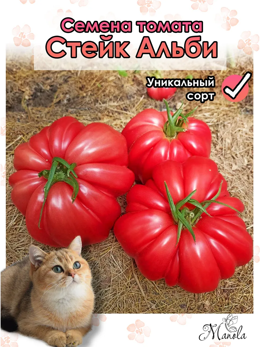 Нет бренда / Семена томата "Стейк Альби" (в упаковке 10 шт)
