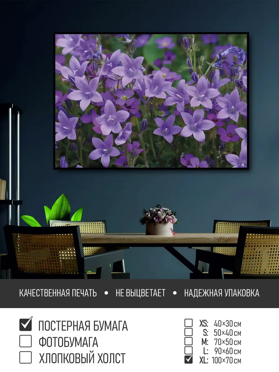 ПолиЦентр / Постер на стену Клумба с красивыми цветами, 100х70 см