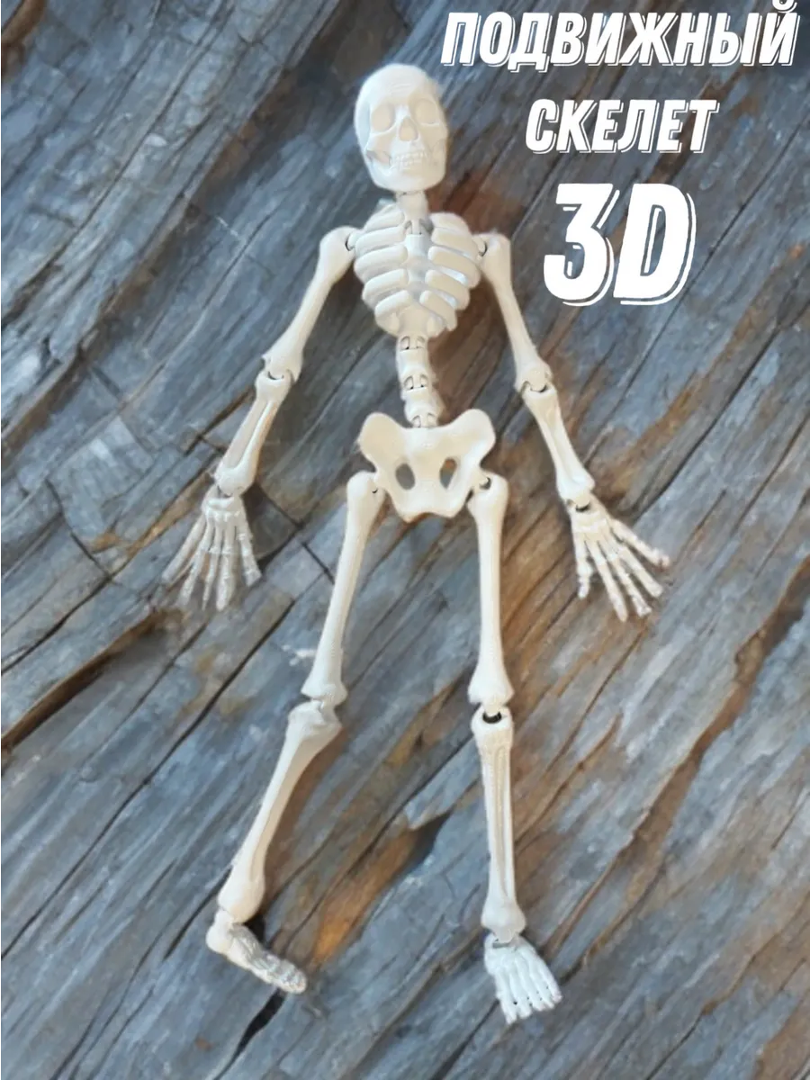 Подвижный скелет 3D
