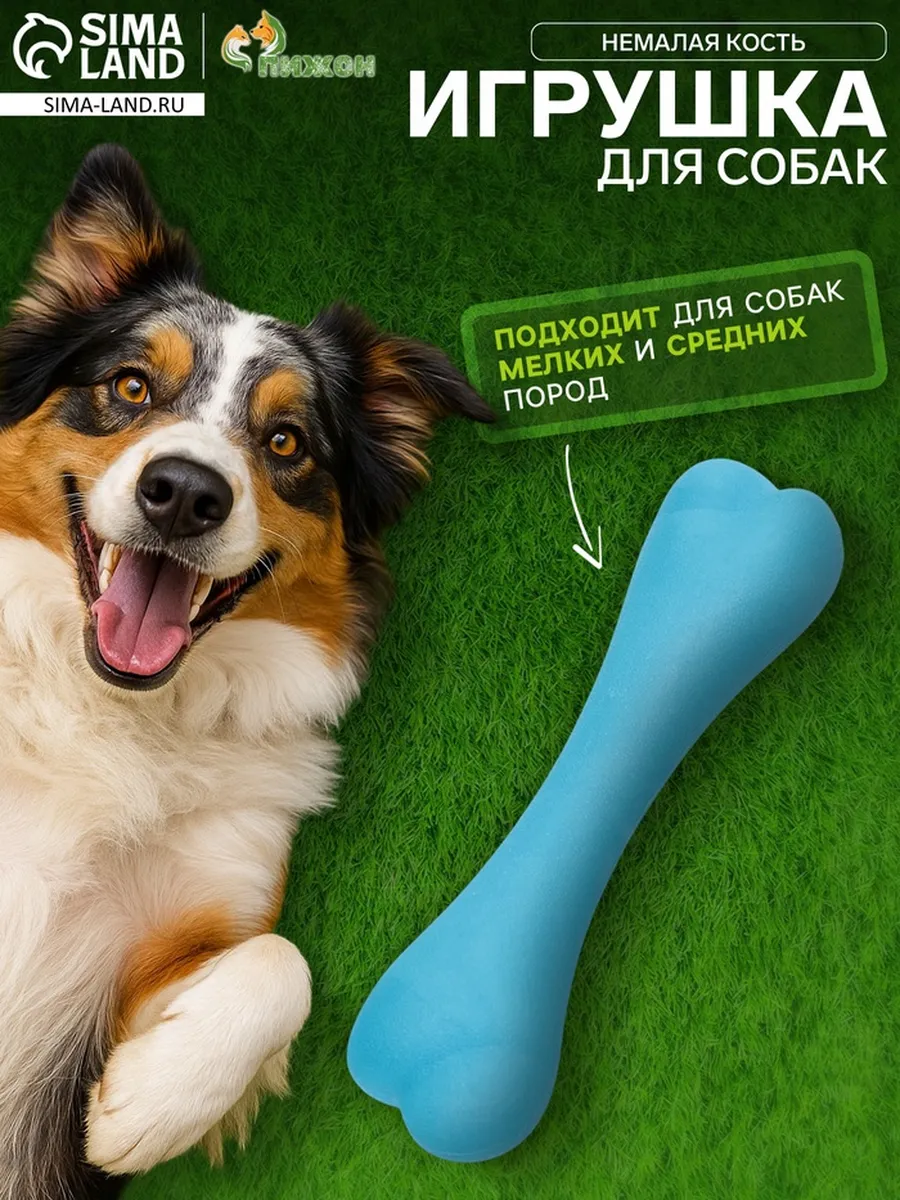 Игрушка жевательная «Немалая кость», TPR, 16 см, синяя