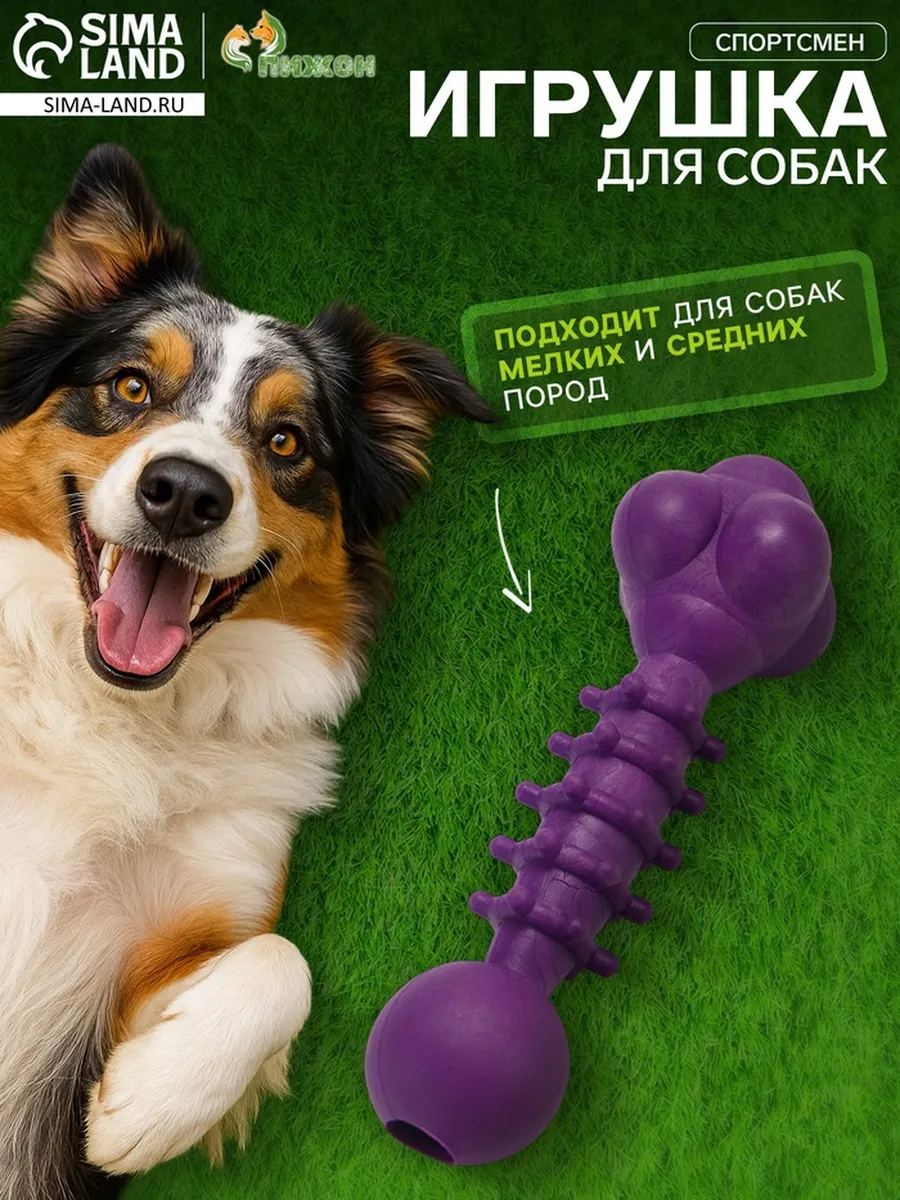 Жевательная игрушка для собак, фиолетовая, 15.5 см