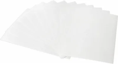 Бумага BRAUBERG 113231,  10 лист.,  300г/м2