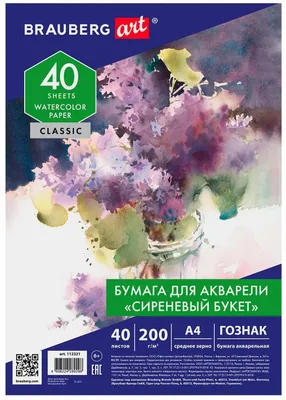 Бумага BRAUBERG 112321,  40 лист.,  200г/м2,  1 дизайн
