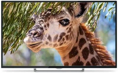 55" Телевизор POLARLINE 55PU11TC-SM 4K Ultra HD, СМАРТ ТВ, Android, черный