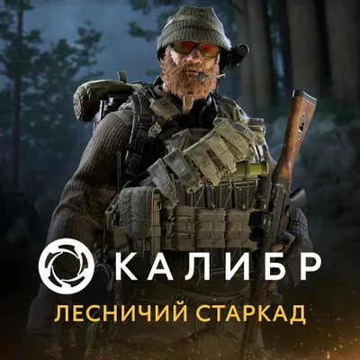 Дополнение к игре 1C GAME STUDIOS Калибр: Лесничий Старкад, для  ПК,  регион: Россия,  RUS (интерфейс и субтитры)
