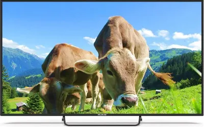 65" Телевизор POLARLINE 65PU51TC-SM 4K Ultra HD, СМАРТ ТВ, Android, черный