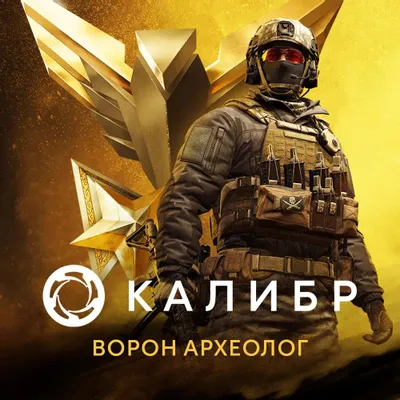 Дополнение к игре 1C GAME STUDIOS Калибр. Боевой набор Ворона Археолога, для  ПК,  регион: Россия,  RUS (интерфейс и субтитры)