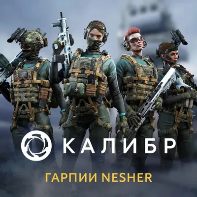 Дополнение к игре 1C GAME STUDIOS Калибр: Гарпии Nesher, для  ПК,  регион: Россия,  RUS (интерфейс и субтитры)