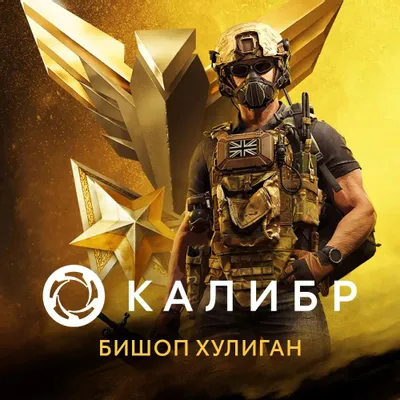 Дополнение к игре 1C GAME STUDIOS Калибр. Боевой набор Бишопа Хулигана, для  ПК,  регион: Россия,  RUS (интерфейс и субтитры)