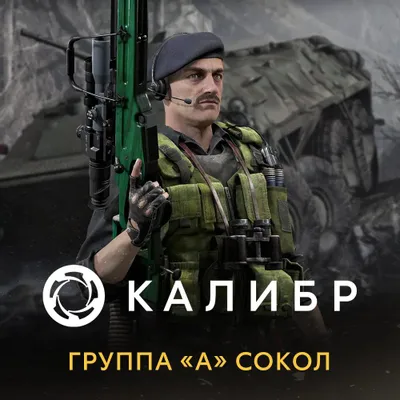 Дополнение к игре 1C GAME STUDIOS Калибр: Группа А Сокол, для  ПК,  регион: Россия,  RUS (интерфейс и субтитры)