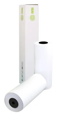 Бумага Cactus CS-LFP80-297457, 12", универсальная, 297мм х 45.7м, 80г/м2, белый, 2 рулона в упаковке