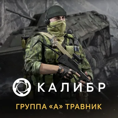 Дополнение к игре 1C GAME STUDIOS Калибр: Группа А Травник, для  ПК,  регион: Россия,  RUS (интерфейс и субтитры)