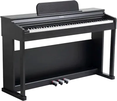 Цифровое фортепиано TESLER STZ-8810, черный