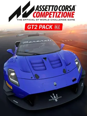 Дополнение к игре 505 GAMES Assetto Corsa Competizione - GT2 Pack, для  ПК,  регион: Россия,СНГ,  RUS (интерфейс и субтитры)