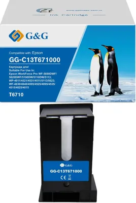 Бункер G&G GG-C13T671000 (C13T671000) для WorkForce WF-5690DWF/5620DWF/5190DW/5110DW/5113