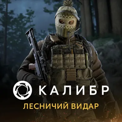 Дополнение к игре 1C GAME STUDIOS Калибр: Лесничий Видар, для  ПК,  регион: Россия,  RUS (интерфейс и субтитры)