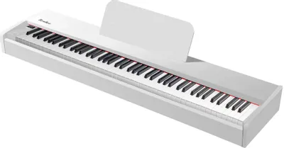 Цифровое фортепиано TESLER STZ-8805, белый