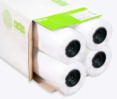 Бумага Cactus Eco, 1067мм х 45.7м, втулка 50.8мм (2"), 80г/м2, белый, 4 рулона в упаковке [cs-lfp80-1067457e-4]