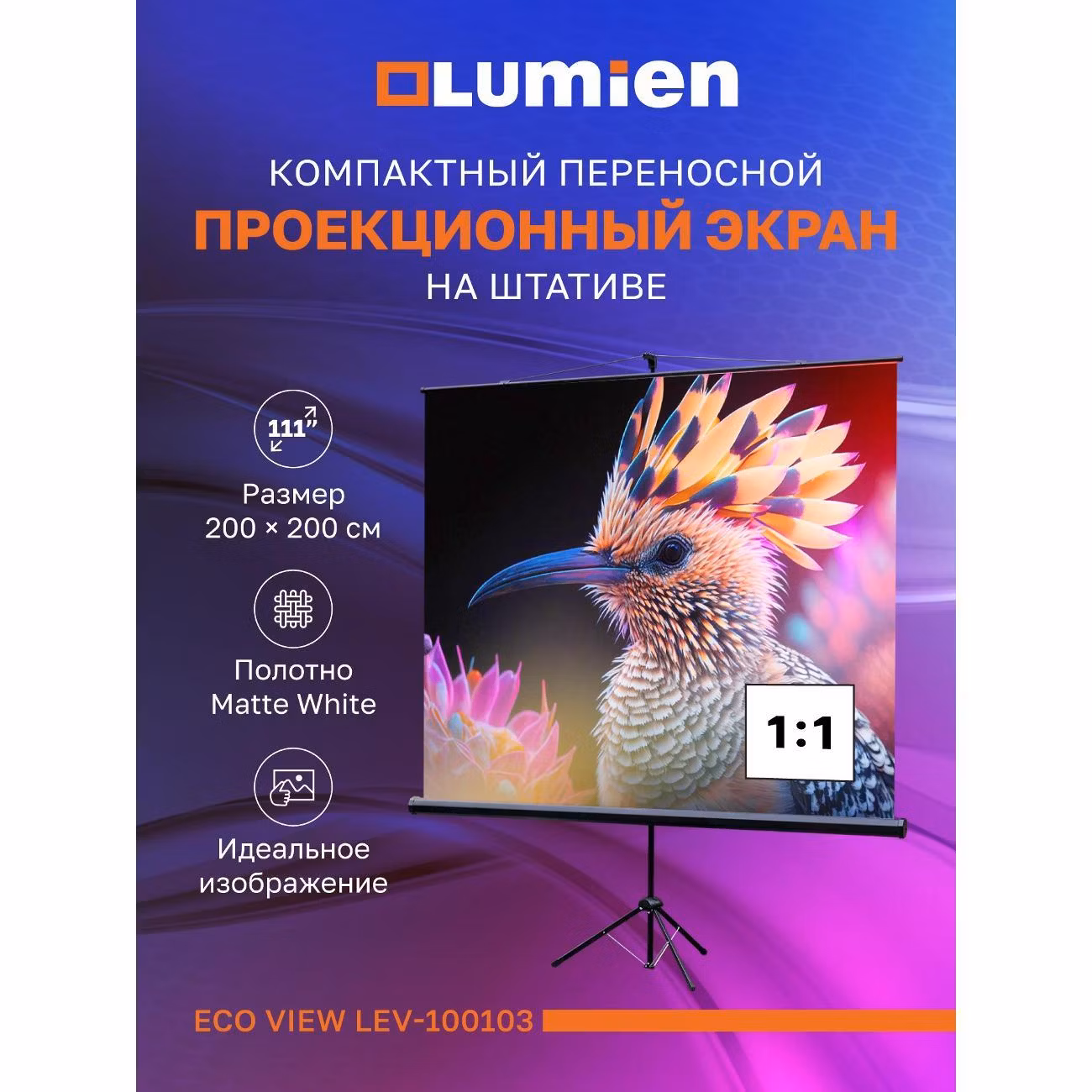 Экран для видеопроектора Lumien Eco View LEV-100103